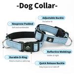 IVY&LANE Reflective Dog Collar and Leash Set,Adjustable Neoprene Padded Dog Collars for Puppy, Breathable Nylon Pet Collar for Small Medium Large Dogs (Small,Blue)