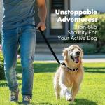 XCPP 4.2FT Dog Collar and Leash Set, PVC Waterproof Adjustable Odor Proof Pet Collars Leashes, Easy to Clean, Surface 3D Cube Effect, Dog Leash for Small Dogs, Black