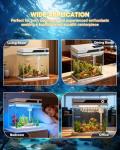Vehipa Fish Tank, Smart Fish Aquarium Kit 4.2 Gallon with Auto Feeder, 4-in-1 Silent Pump, Adjustable Lighting, Temperature Display & Humidifier for Desktop, Office, Room