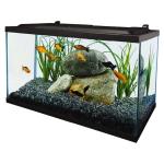 Tetra Aquarium, 10 Gallon, Complete Tropical Fish Tank Kit with LED Lighting for Freshwater Fish