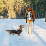 BINGPET Security Dog Hoodies Dachshund Sweater Cold Weather Dog Coats Soft Brushed Fleece Pet Clothes Hooded Sweatshirt for Dog Cat