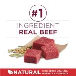 Purina ONE Small Bites Beef and Rice Formula Small High Protein Dry Dog Food Natural With Added Vitamins, Minerals and Nutrients - 16.5 lb. Bag