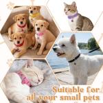 AOZUO 48 Pcs Small Dog Collar and Leash Set, Soft Nylon 8-14 Inch Adjustable Puppy Cat Kitten Collars with Bell Walking Training Rope for Newborn Small Pet (Multicolor, Solid Pattern)