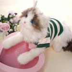 Dog Shirt Polo Shirt Striped Collar Puppy Clothes Summer Button Up Pet Clothes for Small Medium Dogs Cats for Boy Girl Pets (Green, Medium)