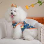 CuteBone Dog Shirts 2-Pack Soft Pet Clothes Breathable Summer Vest for Small Puppy and Stretchy Cat Apparel