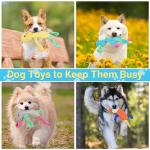 LECHONG 5Pcs Squeaky Dog Toys, Large Crinkle Dog Toys for Large Medium and Small Dogs, Puppy Toys to Keep Them Busy Great Value Dog Toy Bundle