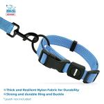 Best Pet Supplies Voyager Reflective Dog Leash or Collar with Neoprene Handle, for Small, Medium, and Large Breed Puppies, Cute and Heavy Duty for Walking, Running and Training - Baby Blue, M