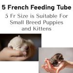 LBH Market Professional Puppy & Kitten Tube Feeding Kit – 5 French 18” Red Rubber Feeding Tube + 12 mL Syringe – Emergency Neonatal Feeding Support for Fading Puppies – Whelping & Weak Kitten Supplies