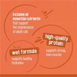 Purina Friskies TurChicken Turkey and Chicken Wet Cat Food Variety Pack with Meaty Bits, Prime Filets, and Extra Gravy, 48 ct.