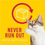 Purina Friskies TurChicken Turkey and Chicken Wet Cat Food Variety Pack with Meaty Bits, Prime Filets, and Extra Gravy, 48 ct.