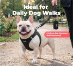 Best Pet Supplies Voyager Reflective Dog Leash or Collar with Neoprene Handle, for Small, Medium, and Large Breed Puppies, Cute and Heavy Duty for Walking, Running and Training - Black (Leash), M