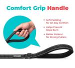 Best Pet Supplies Voyager Reflective Dog Leash or Collar with Neoprene Handle, for Small, Medium, and Large Breed Puppies, Cute and Heavy Duty for Walking, Running and Training - Black (Leash), M