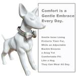 SuperBuddy Dog Collar and Leash,Breathable Adjustable Dog Collar-Safe Buckle-Collars for Small Medium Large Pet