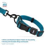Best Pet Supplies Voyager Reflective Dog Leash or Collar with Neoprene Handle, for Small, Medium, and Large Breed Puppies, Cute and Heavy Duty for Walking, Running and Training - Turquoise, S