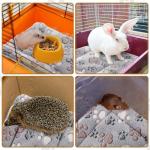 Tuanse 4 Pack Ultra Soft Dog Cat Bed Mat Small Animal Guinea Pig Bed with Cute Print Reversible Fleece Dog Crate Kennel Pad Cozy Washable Thickened Hamster Pet Beds Mat(13 x 10 Inches,Light Gray)