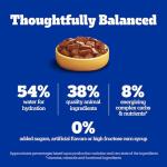 Pedigree Choice Cuts In Gravy Adult Canned Soft Wet Dog Food With Beef, 22 oz. Cans (12 Count, Pack of 1)