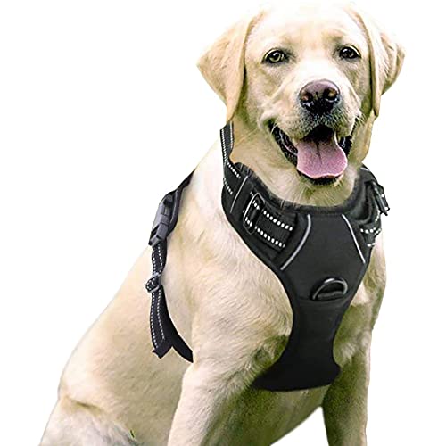 Rabbitgoo No-Pull Dog Harness with 2 Leash Clips