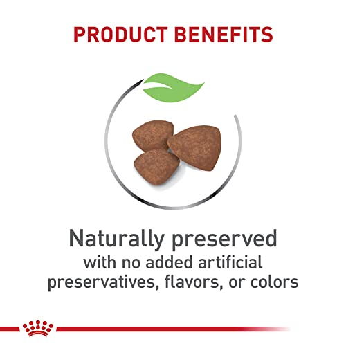 Royal Canin Small Puppy Dry Dog Food 2.5lb