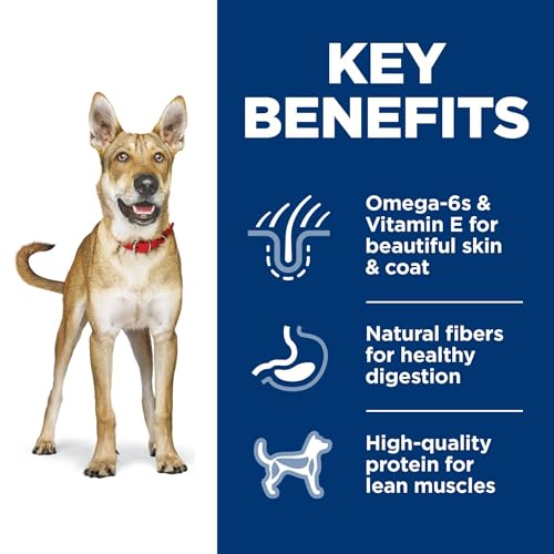 Hill's Science Diet Chicken & Barley Dry Dog Food