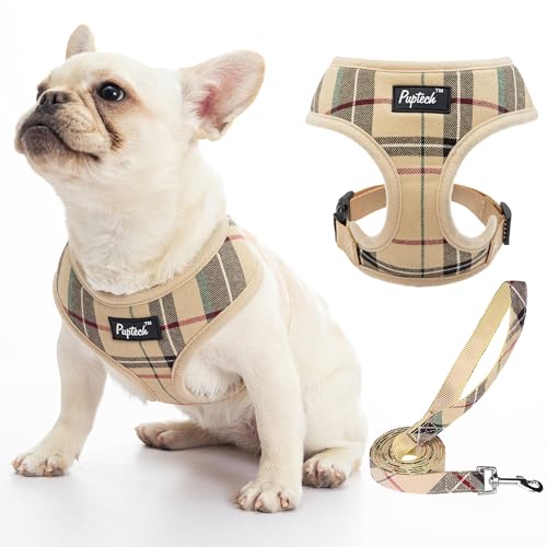 PUPTECK Soft Mesh Dog Harness & Leash Set