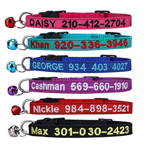 Personalized Embroidered Nylon Cat Collar with Bell