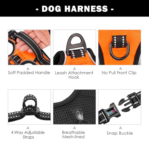 PHOEPET Reflective No Pull Dog Harness - Medium