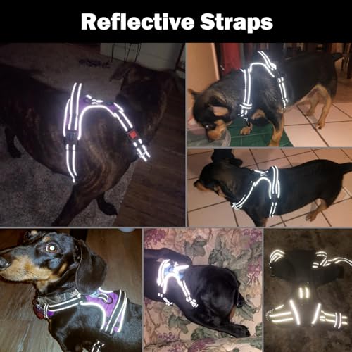 PHOEPET Reflective No Pull Dog Harness - Medium