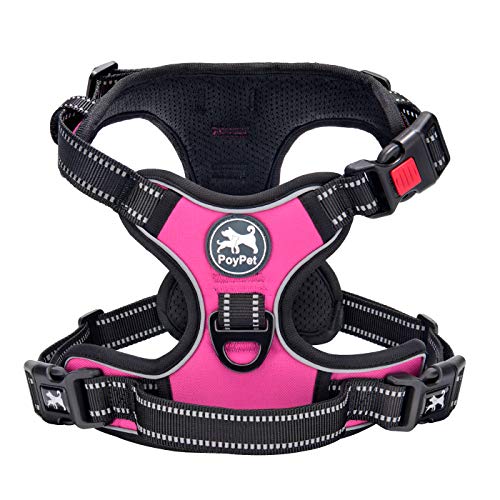 Adjustable No Pull Dog Harness with Reflective Trim