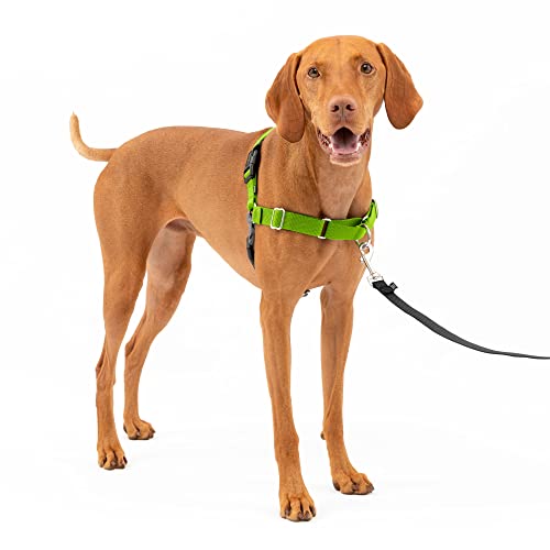 PetSafe No Pull Dog Harness - Medium, Apple Green