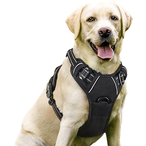 Rabbitgoo No-Pull Dog Harness with 2 Leash Clips