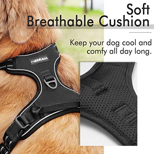 Rabbitgoo No-Pull Dog Harness with 2 Leash Clips