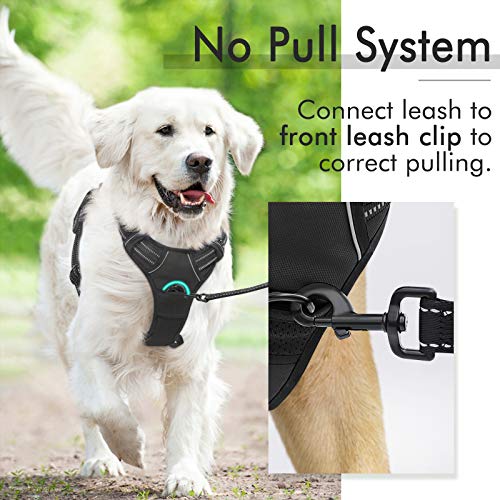 Rabbitgoo No-Pull Dog Harness with 2 Leash Clips