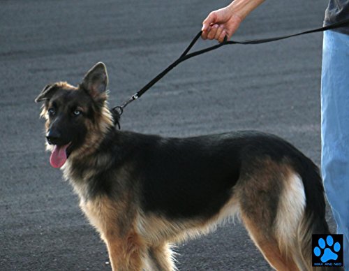 Reflective Double Handle Dog Leash - 6 FT Black