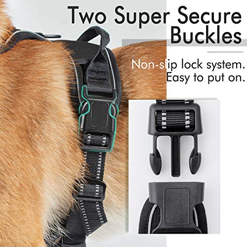 Rabbitgoo No-Pull Dog Harness with 2 Leash Clips