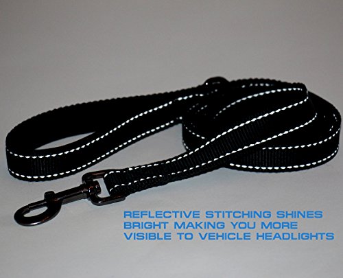 Reflective Double Handle Dog Leash - 6 FT Black