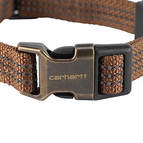 Carhartt Medium Brown Dog Collar with Brass Accents