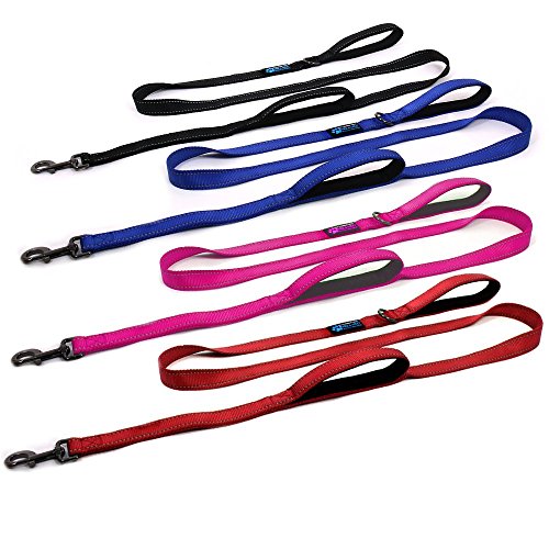 Reflective Double Handle Dog Leash - 6 FT Black