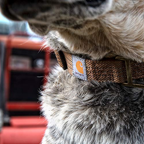 Carhartt Medium Brown Dog Collar with Brass Accents