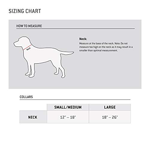 Carhartt Medium Brown Dog Collar with Brass Accents