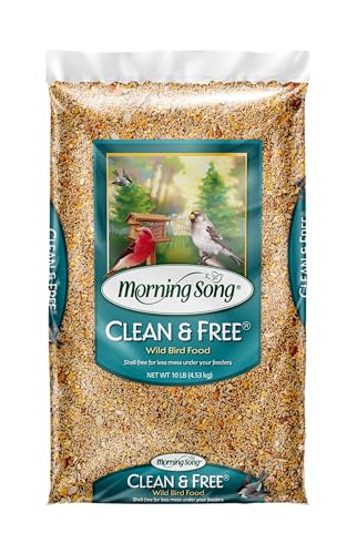 Premium Shell-Free Wild Bird Food - 10 lbs