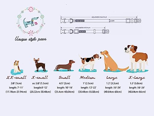 Stylish Metal Buckle Dog Collar for All Sizes