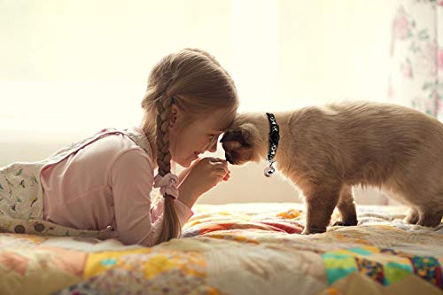 Cute Adjustable Glow-in-the-Dark Cat Collars (2PCS)