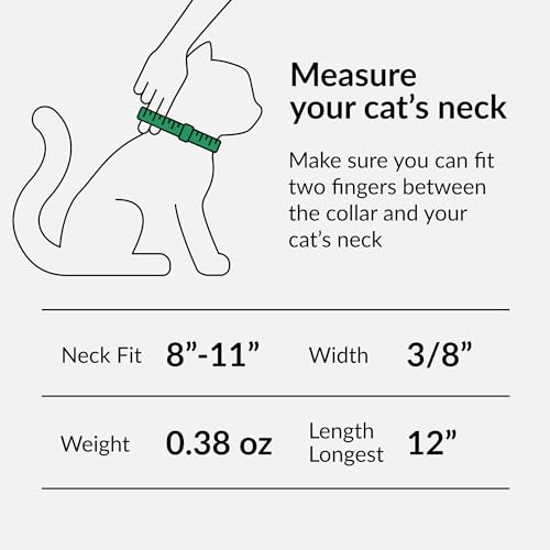 Mint Green Leather Cat Collar with Bell