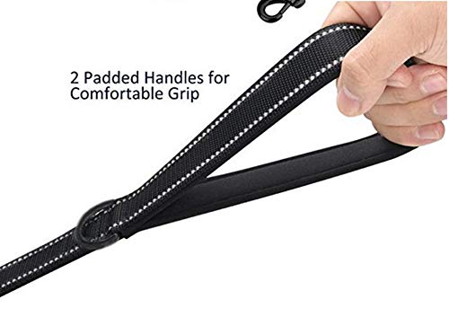 Heavy Duty 6ft Dog Leash with Dual Handles