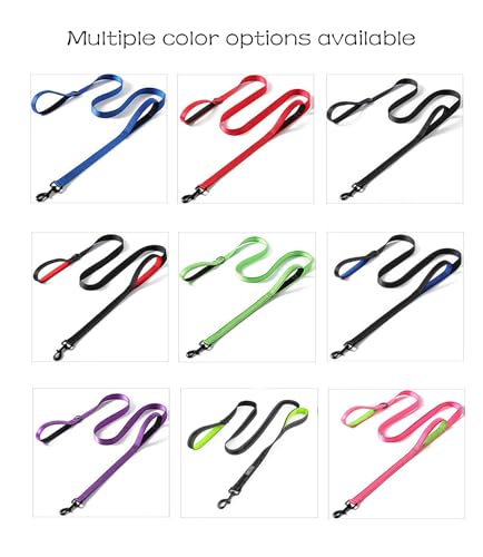 Heavy Duty 6ft Dog Leash with Dual Handles