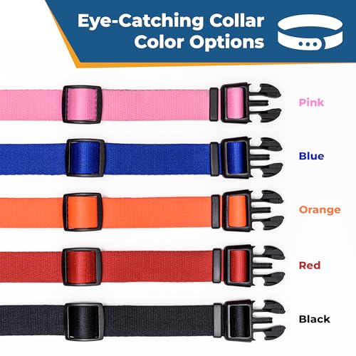 Custom Embroidered Dog Collar with Pet Name