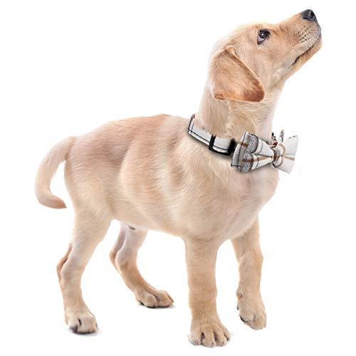 Soft & Comfy Bowtie Dog Collar - Beige