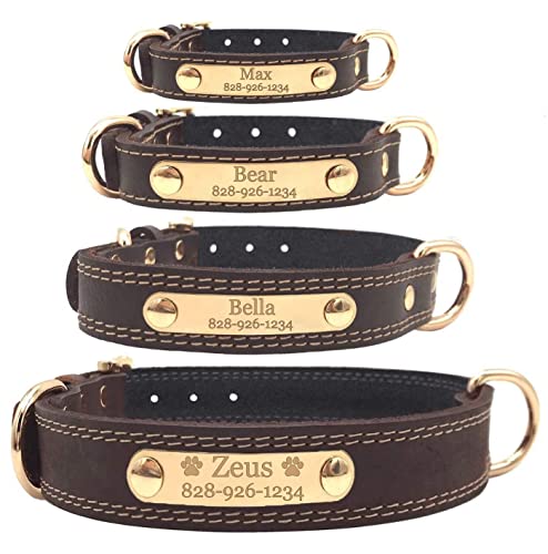 Custom Engraved Leather Dog Collar - Large Brown