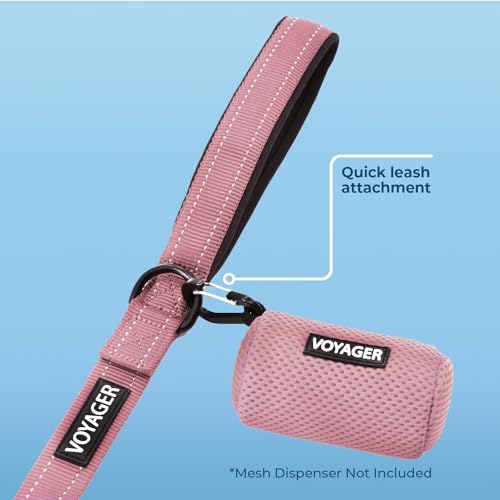 Voyager Reflective Dog Leash with Neoprene Handle
