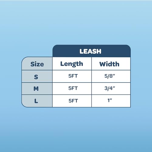 Voyager Reflective Dog Leash with Neoprene Handle